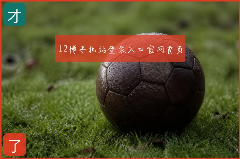 12博手机站登录入口官网首页
